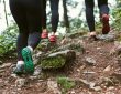 Top Trail Running Shoe Deals for Comfort, Grip & Big Savings